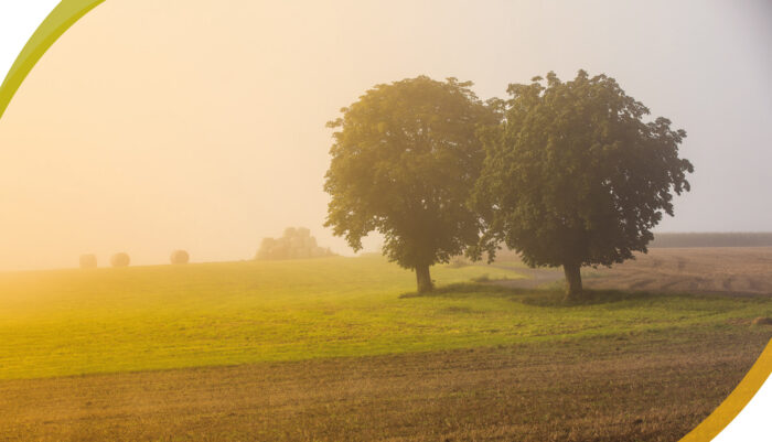 Ein Riese namens Heimat – Bild 2