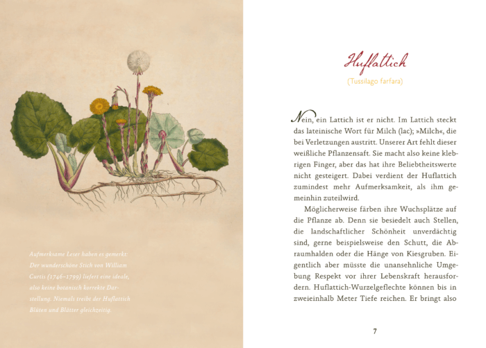Eifeler Blüten-Lese – Bild 5