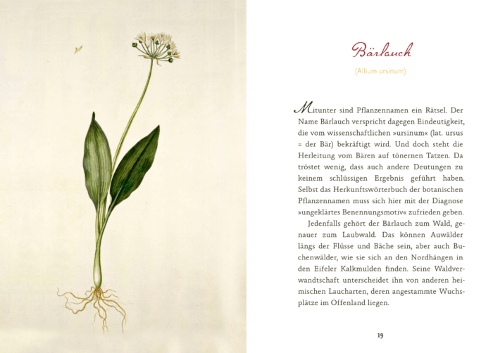 Eifeler Blüten-Lese – Bild 3