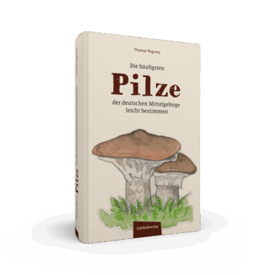 Pilze in der Eifel